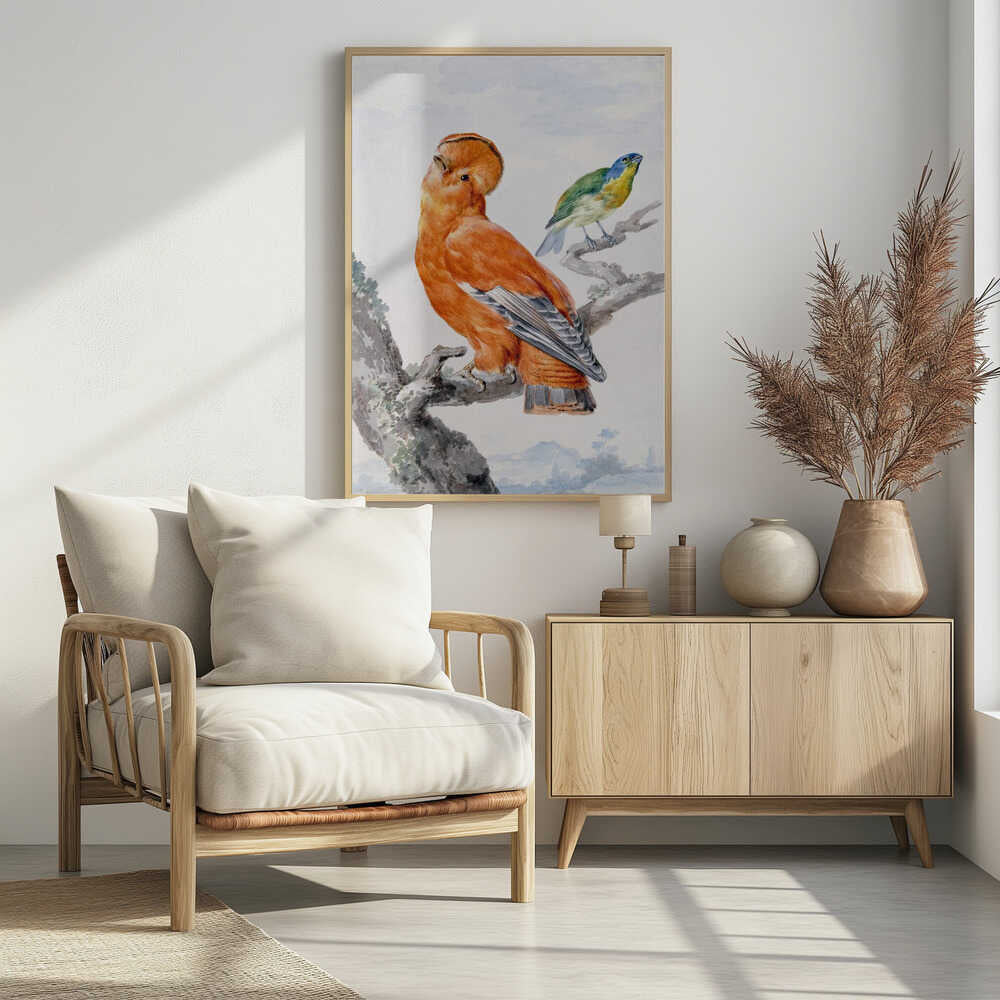 Two Exotic Birds - Poster / Art Print