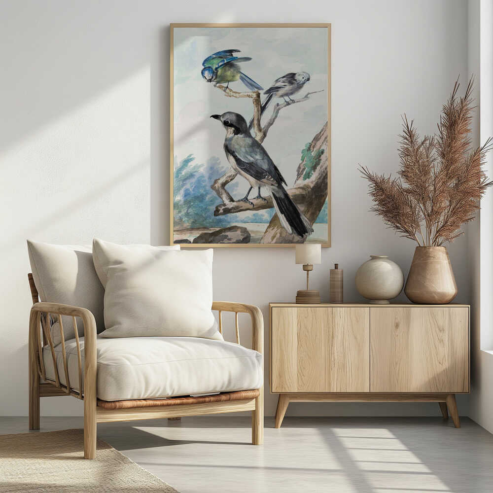 Three Birds - Poster / Art Print