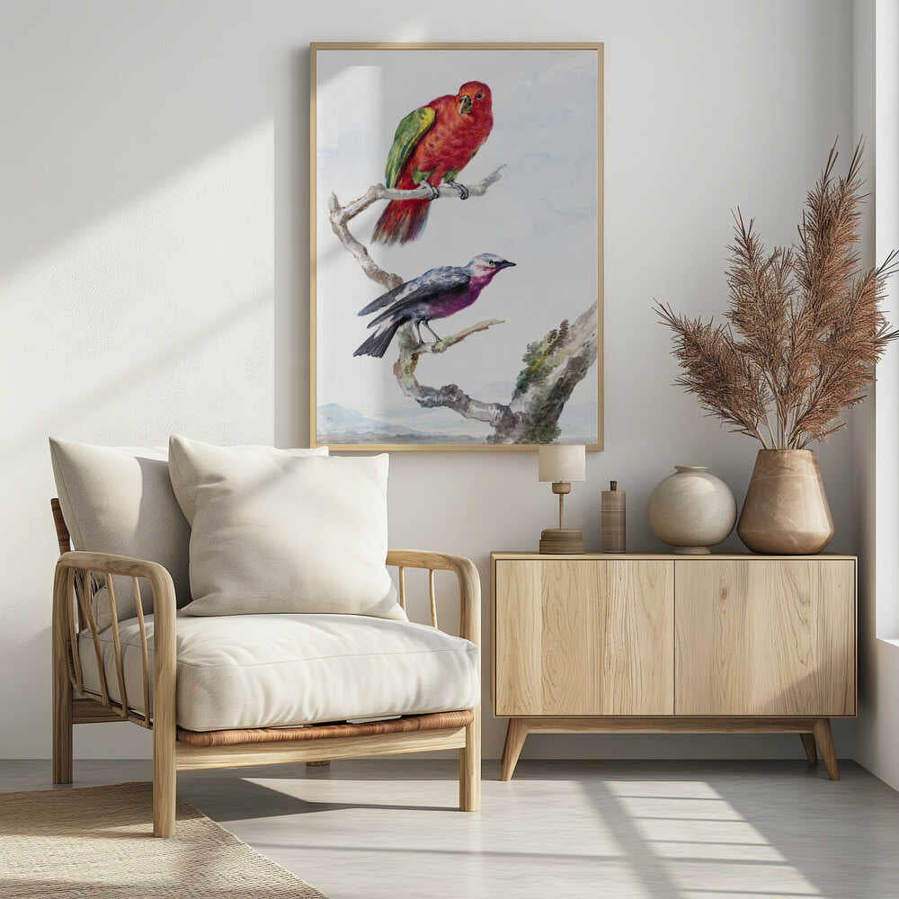 Two Birds, Including a Red Green Parrot - Poster / Art Print