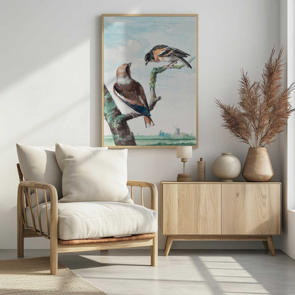 Two Birds  Hawfinch - Poster / Art Print