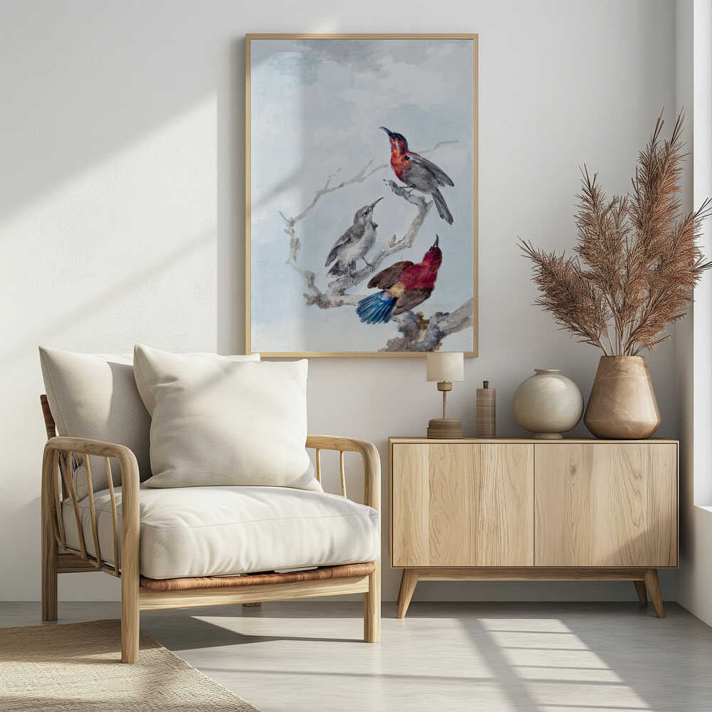 Three Crimson Sunbirds - Poster / Art Print