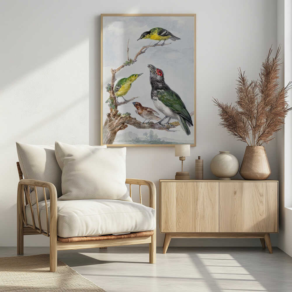 Four Different Birds On a Branch - Poster / Art Print