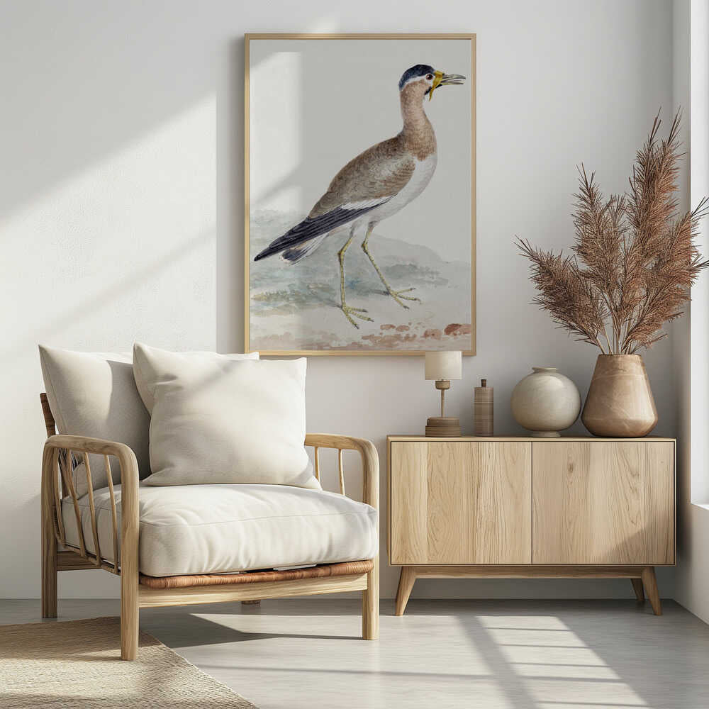 A Yellow Wattled Lapwing - Poster / Art Print