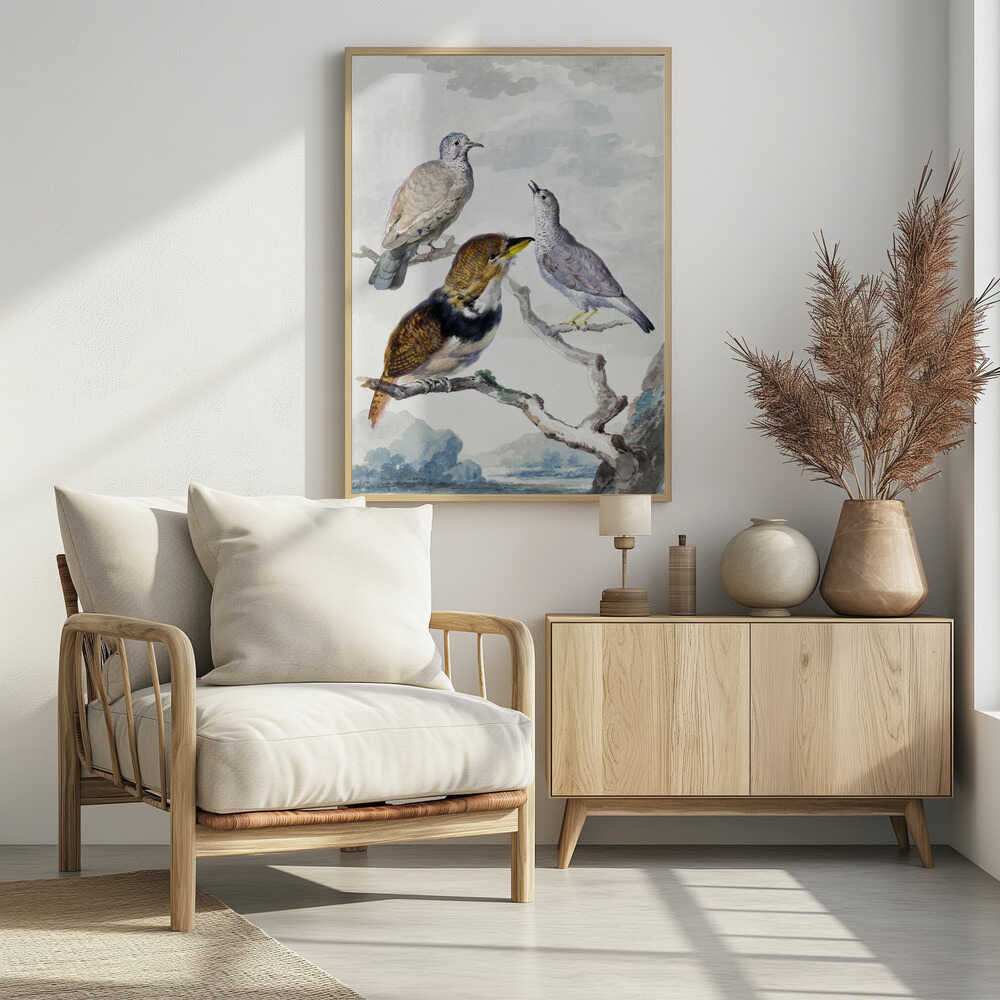 Three Birds, Two Inca Pigeons and a Collared Bearded Cuckoo - Poster / Art Print