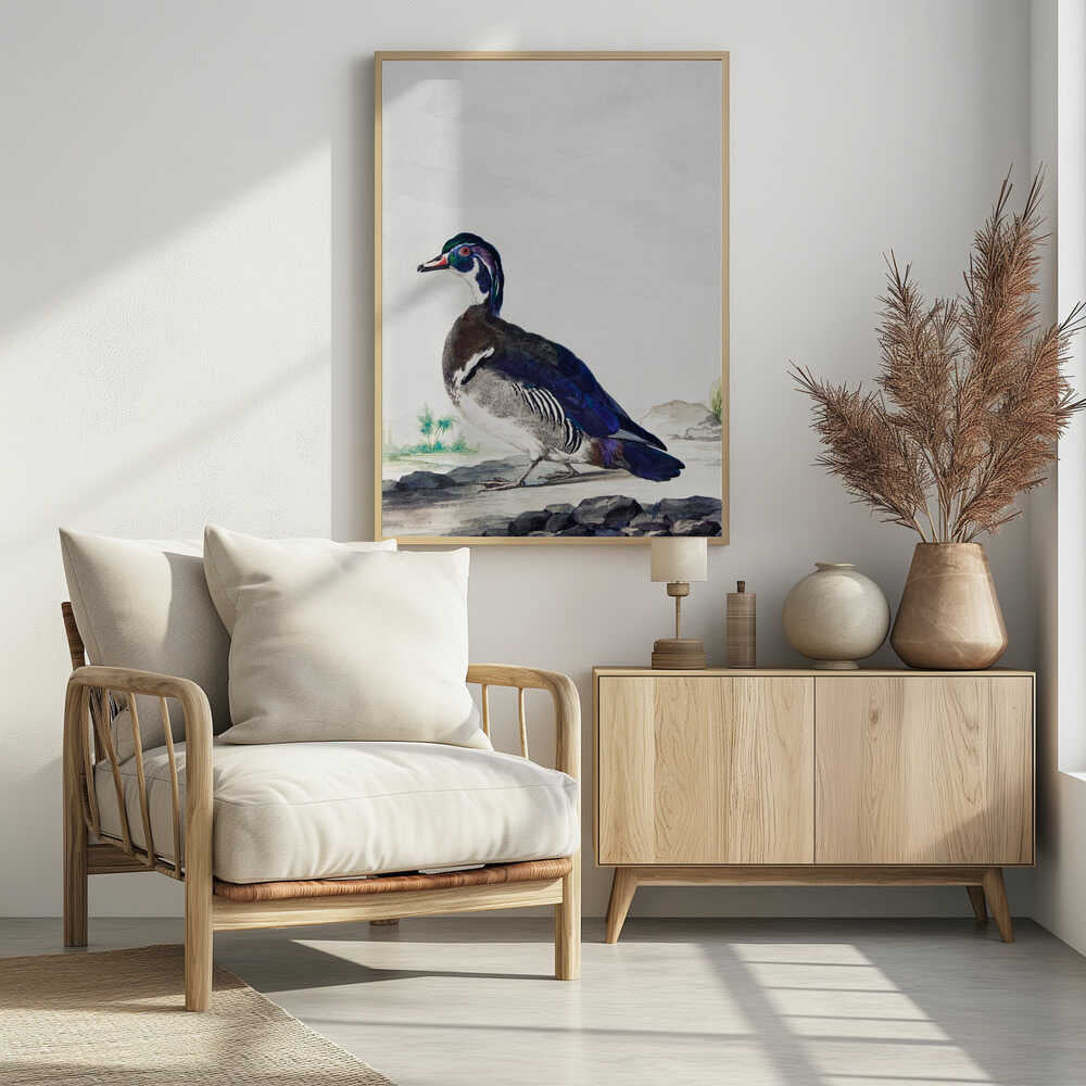 A Duck - Poster / Art Print