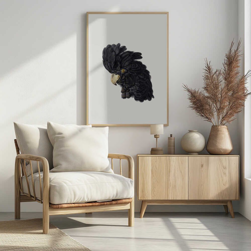 Head of a Cockatoo - Poster / Art Print