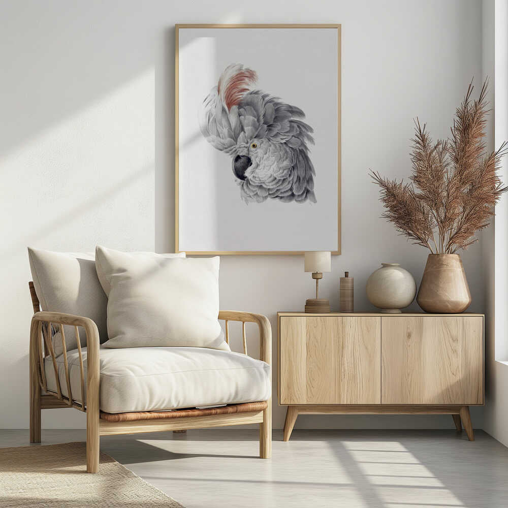 Cockatoo Head - Poster / Art Print