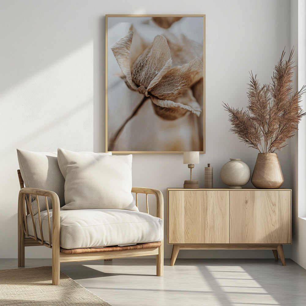 Dry flower detail No 3 - Poster / Art Print