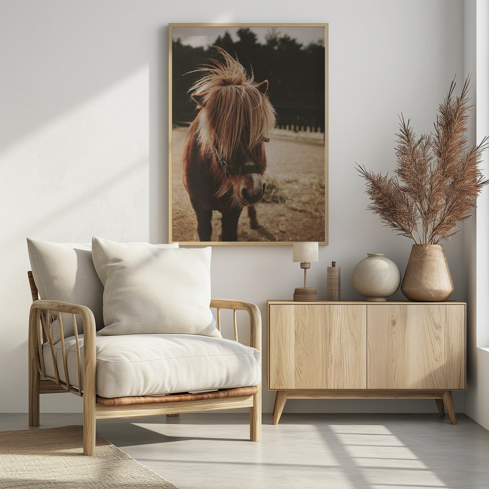 Small Horse - Poster / Art Print