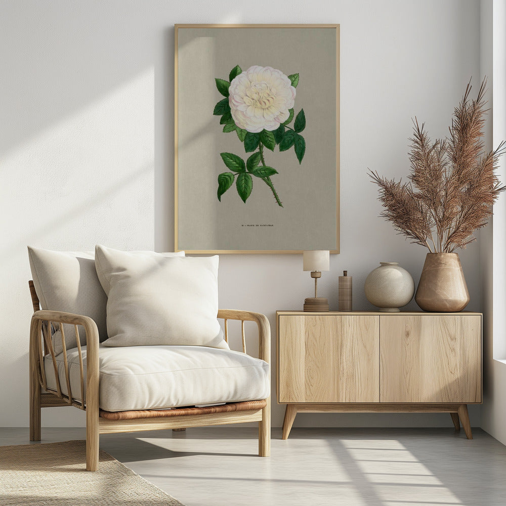 Rose Marie De Saint Jean - Poster / Art Print