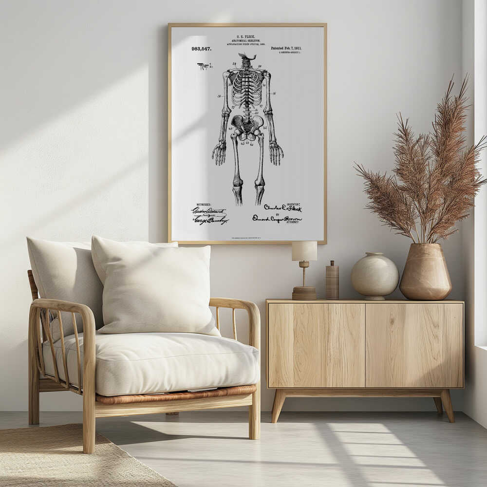 Anatomical Skeleton Patent 1911 - Poster / Art Print