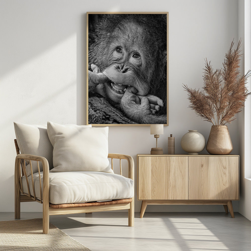 Big Smile.....please - Poster / Art Print