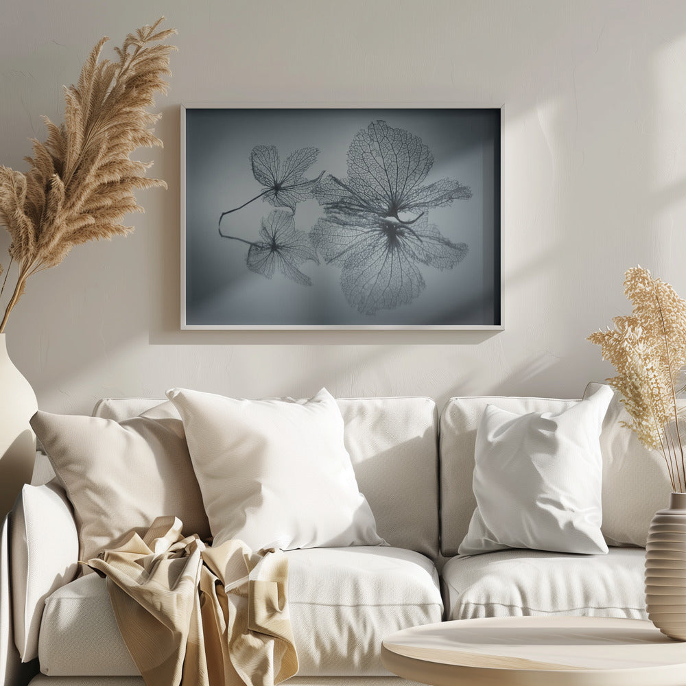 Ephemeral Beauty - Poster / Art Print