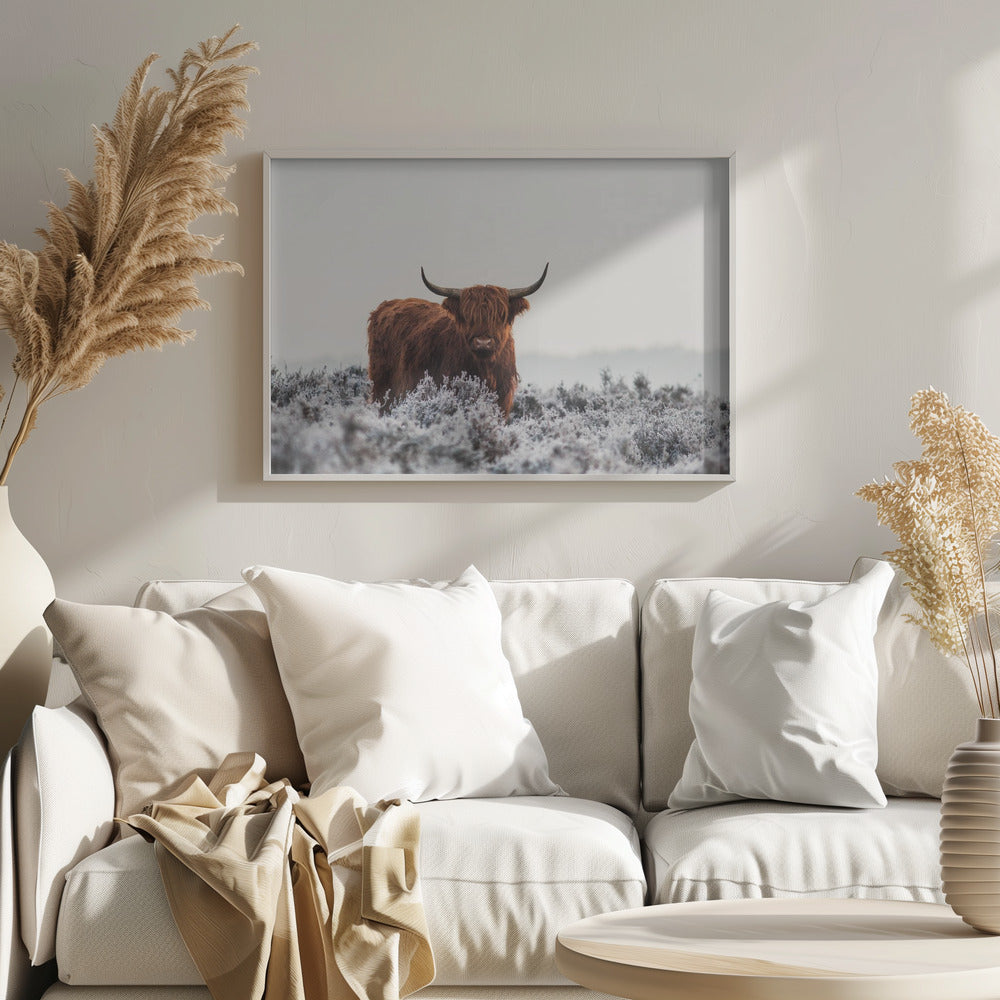 Highlander - Poster / Art Print