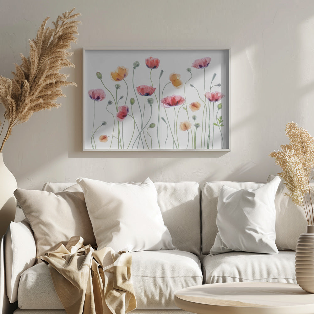 Papaver party - Poster / Art Print