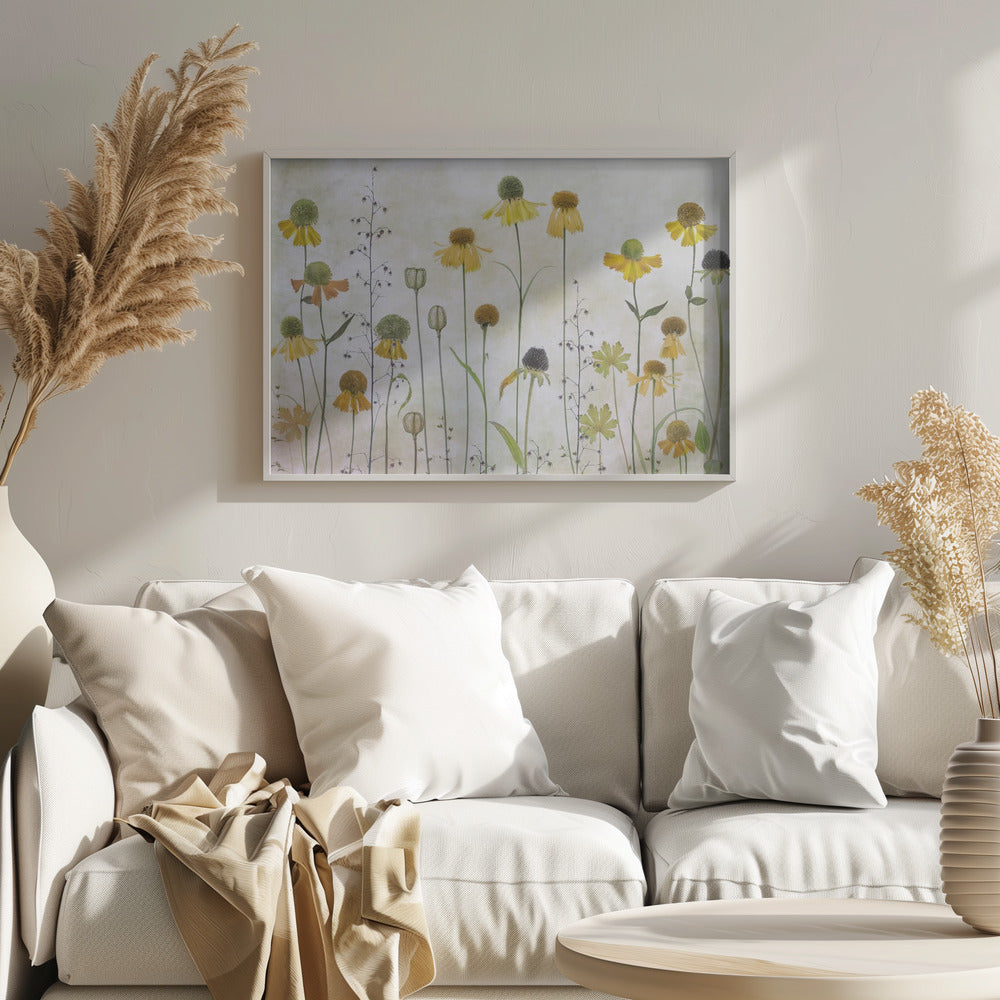 Helenium - Poster / Art Print
