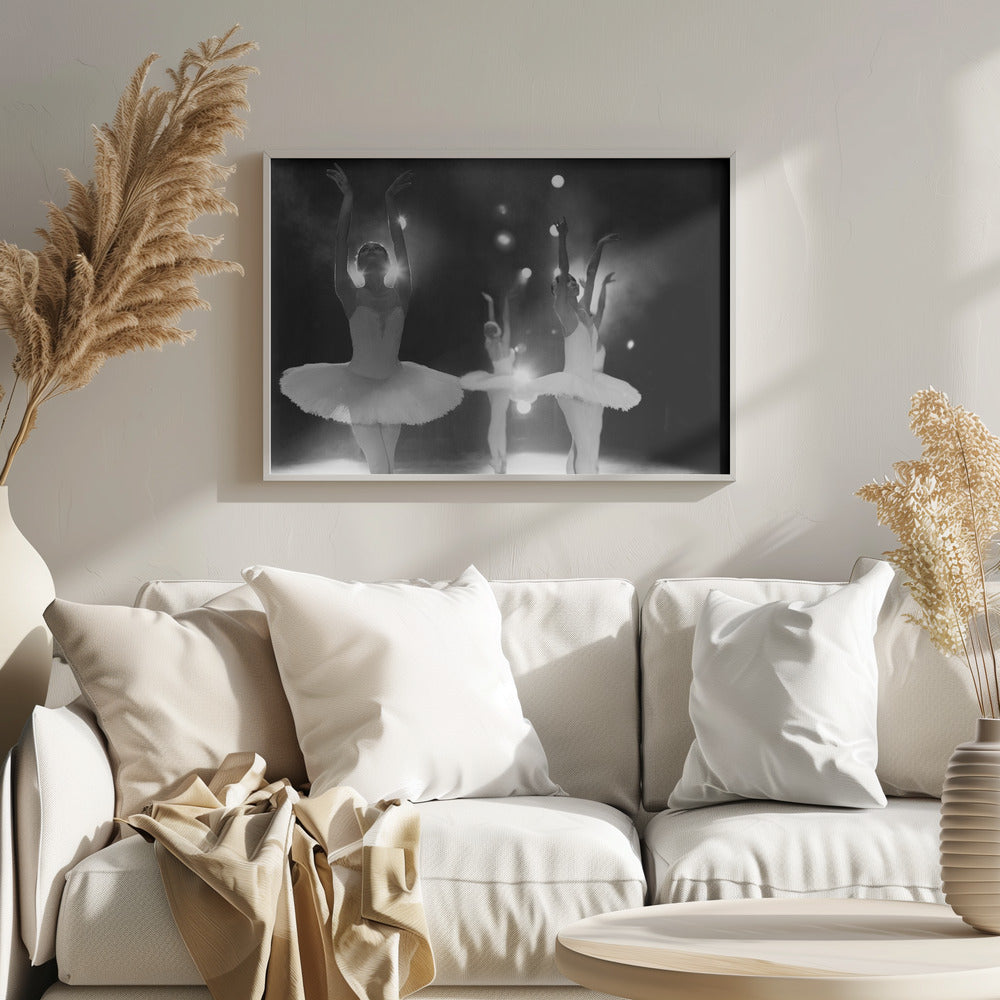 Swan Lake - Poster / Art Print