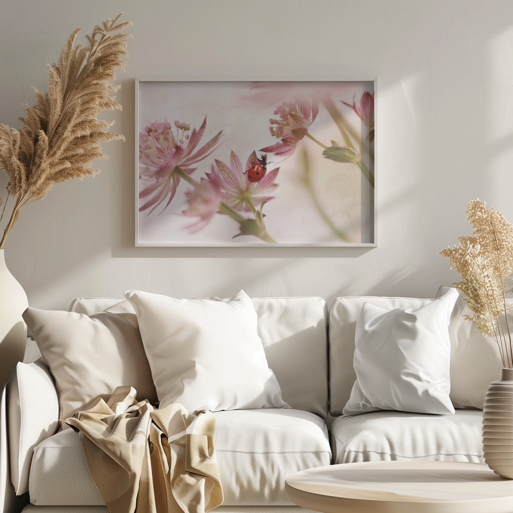 Ladybird and pink flowers - Poster / Art Print