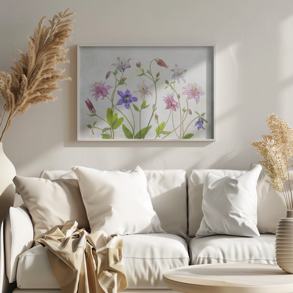 Columbine - Poster / Art Print