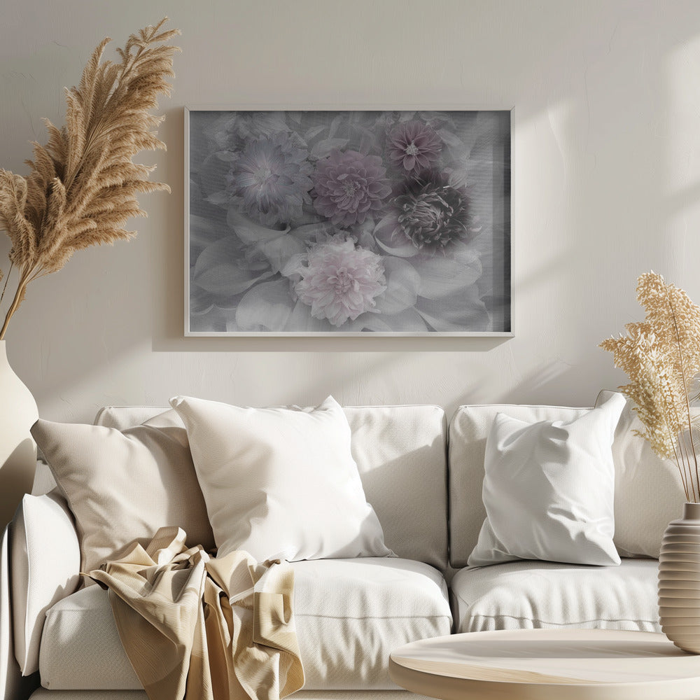 Dahlia dream - Poster / Art Print