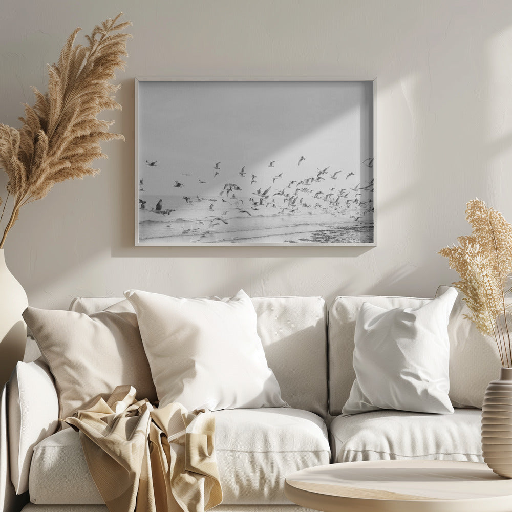 Seagulls - Coastal black and white - Poster / Art Print