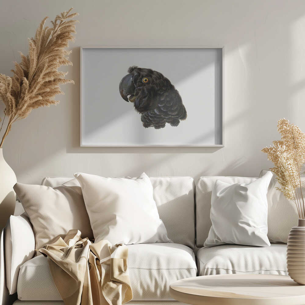 Cockatoo - Poster / Art Print