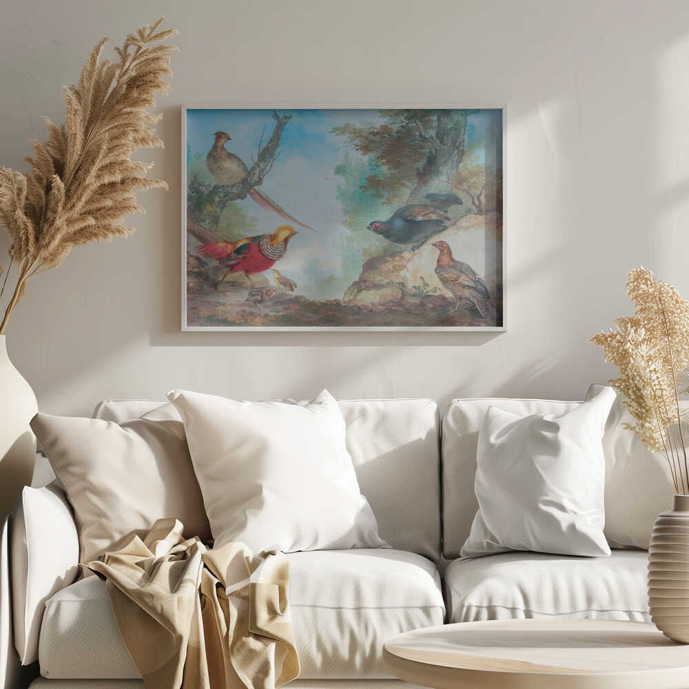 Pheasants - Poster / Art Print