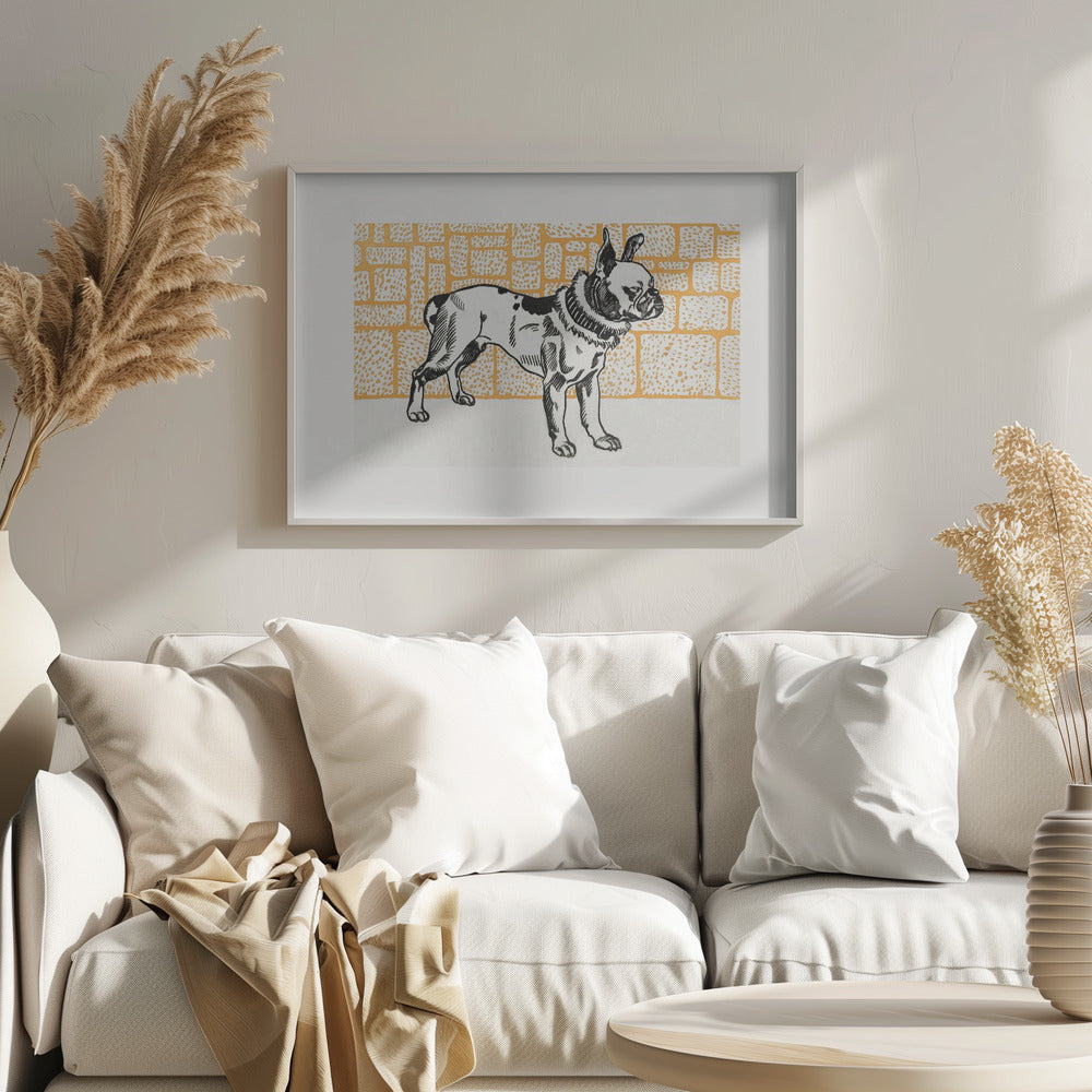Pitbull Terrier - Poster / Art Print