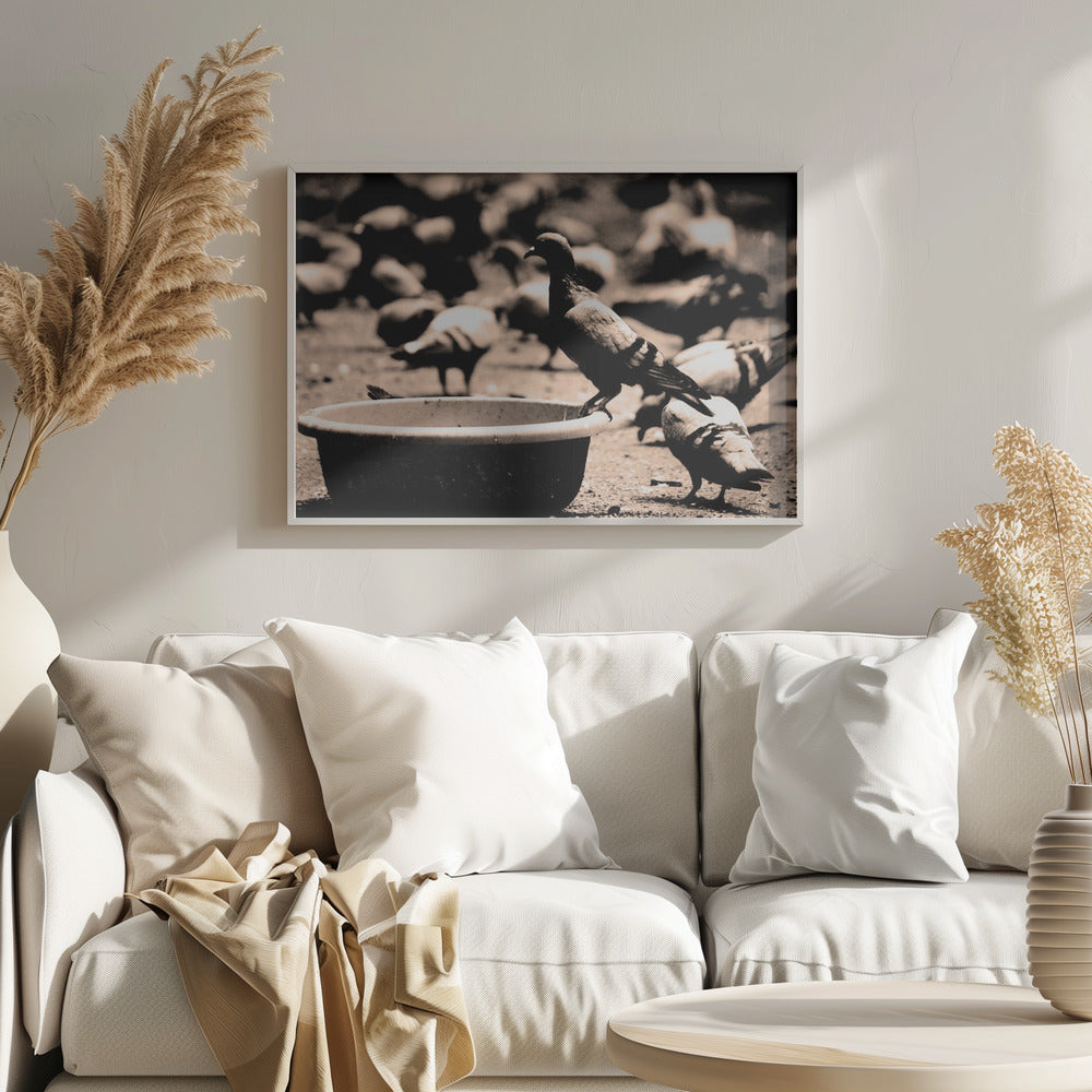 Birds 05 - Poster / Art Print
