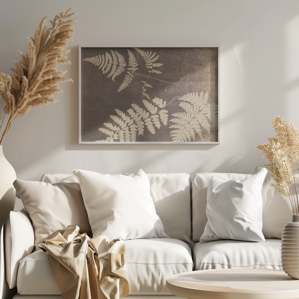 Fern Leaves 1850 - Poster / Art Print