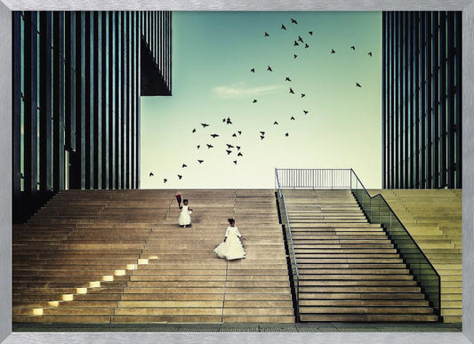 Free like a bird... - Poster / Art Print