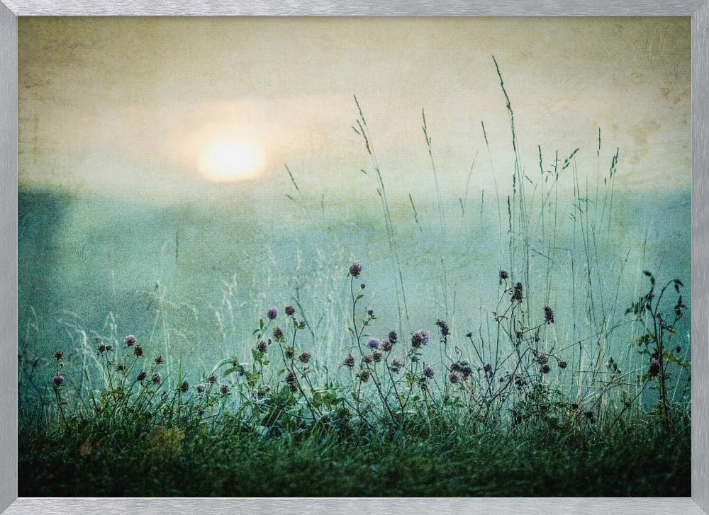 Autumn sunrise - Poster / Art Print