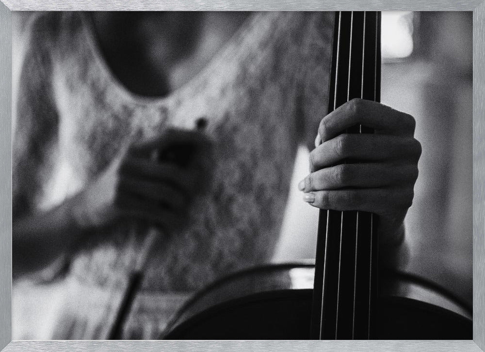 break for the cello - Poster / Art Print