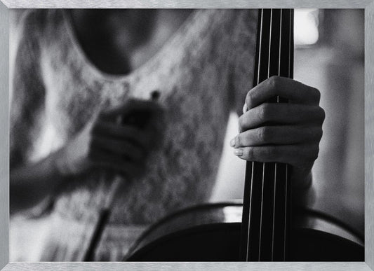 break for the cello - Poster / Art Print