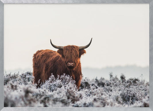 Highlander - Poster / Art Print