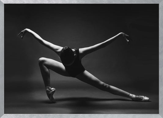 soaring. A ballerina in a pointe shoes in a lunge with her arms outstretched like wings - Poster / Art Print