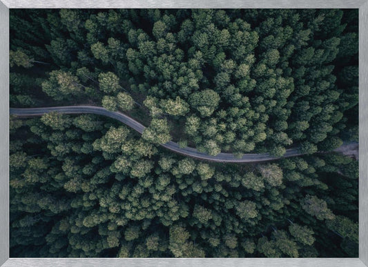 From above - Poster / Art Print