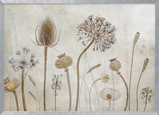 Growing old - Poster / Art Print