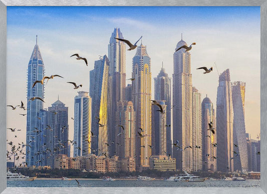 Birds view - Poster / Art Print