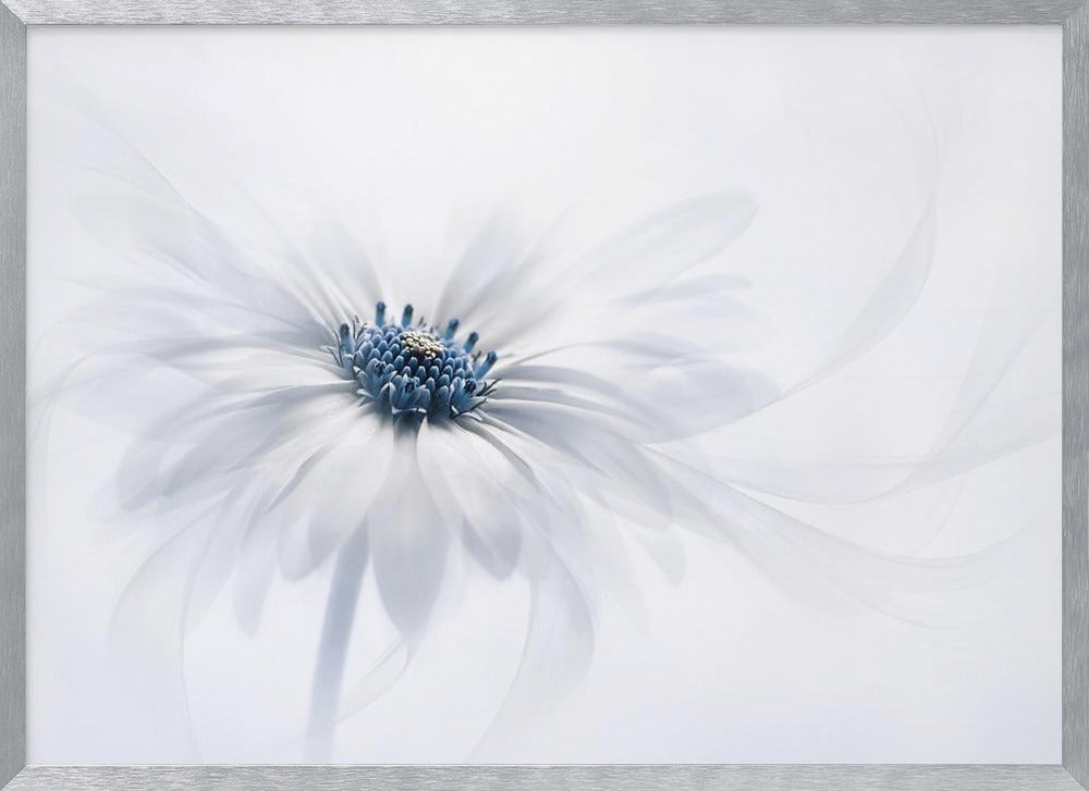 Serenity - Poster / Art Print