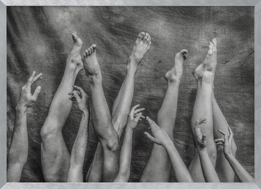 An Elegant Chaos. - Poster / Art Print