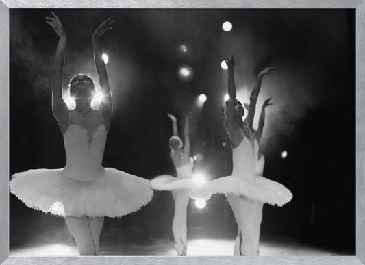 Swan Lake - Poster / Art Print