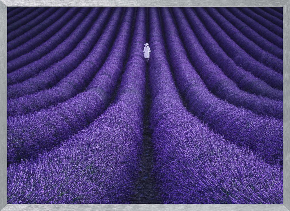 SHE - Poster / Art Print