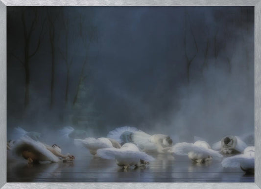 Von Rothbart's Curse - Poster / Art Print