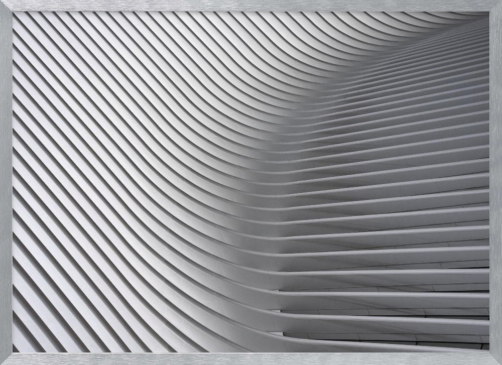 Calatrava Curves # 2 - Poster / Art Print