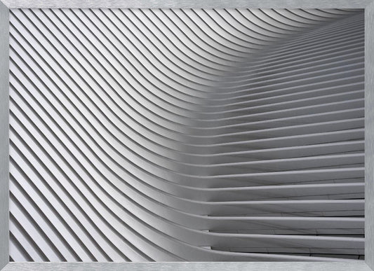 Calatrava Curves # 2 - Poster / Art Print