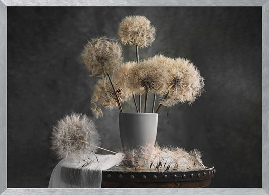 Dandelion Seed Pod - Poster / Art Print