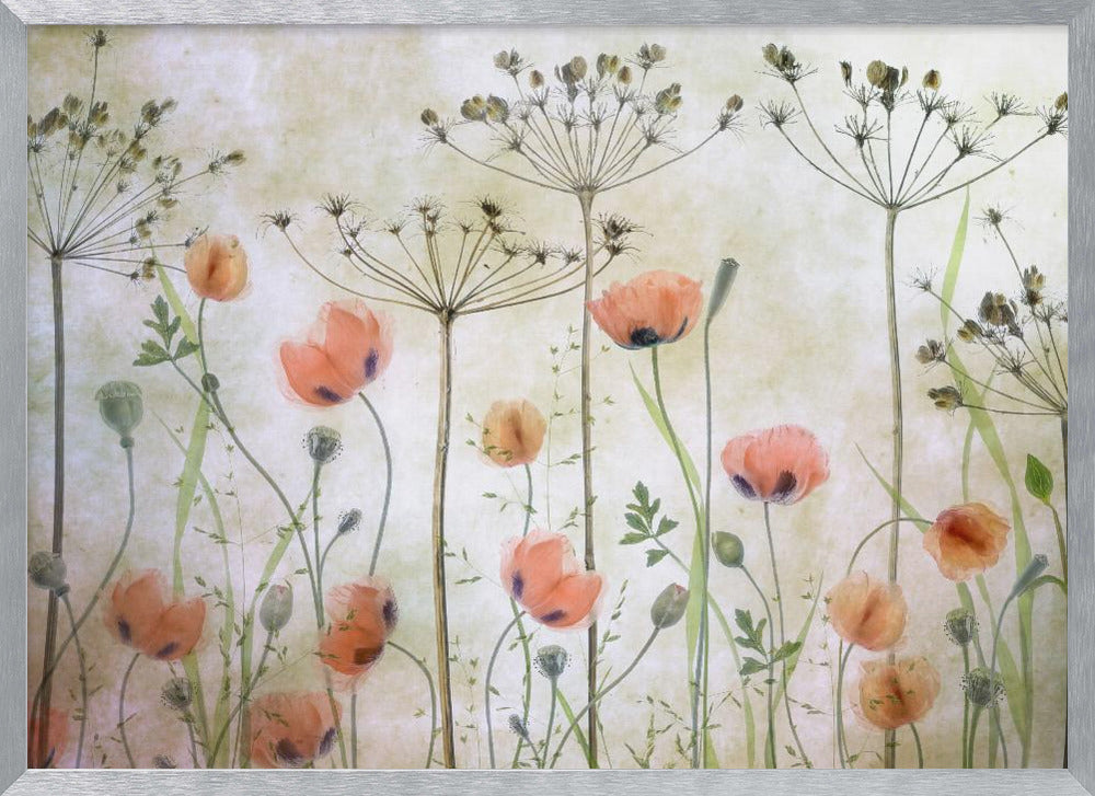 Poppy Meadow - Poster / Art Print