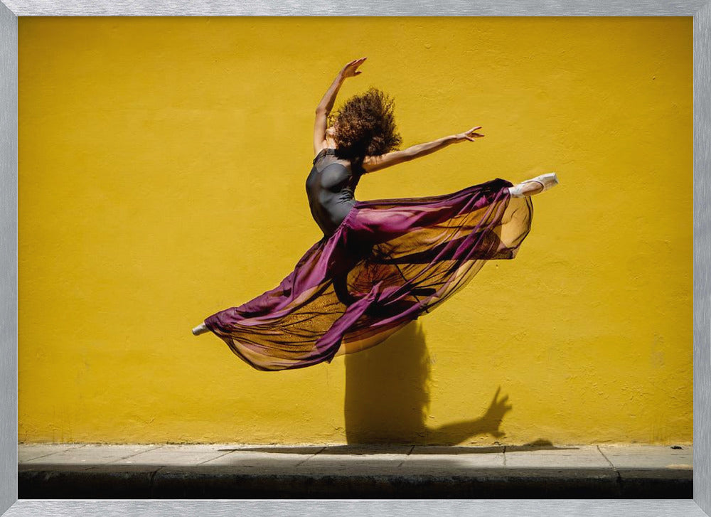 Ballet dancer jumping - Poster / Art Print