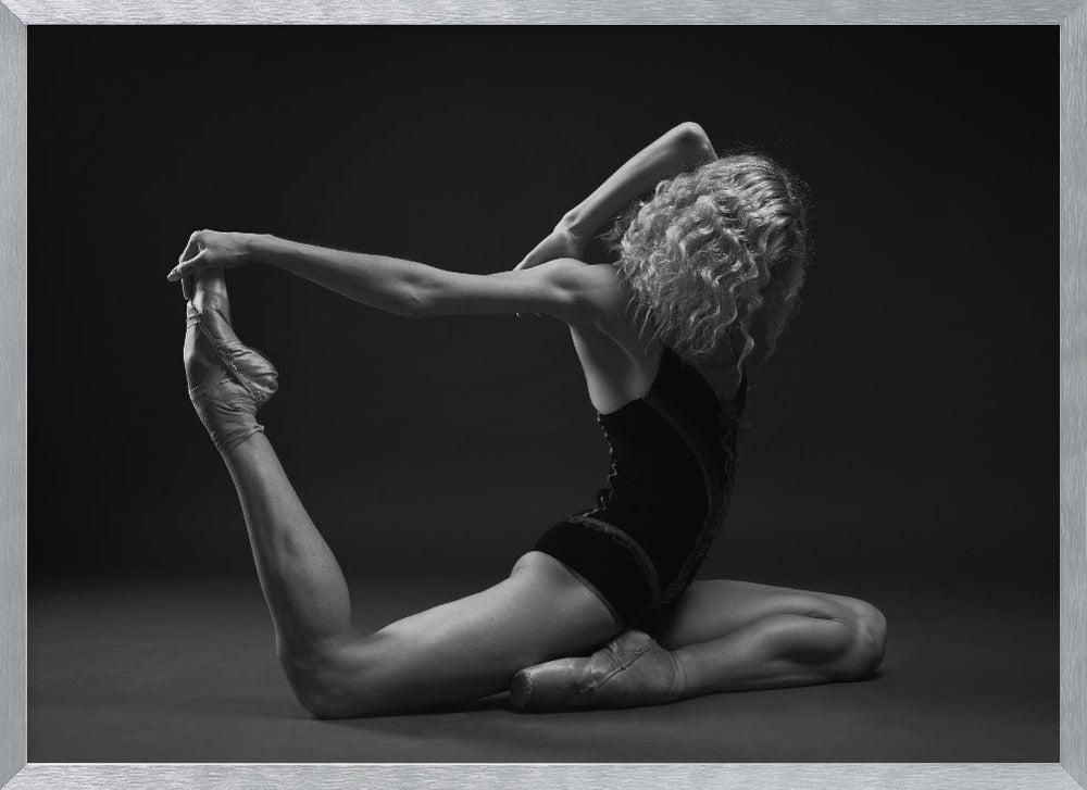 Art Of Movement Series - Poster / Art Print